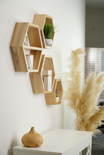 Load image into Gallery viewer, hexagon shelves set
